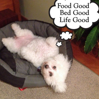 Good Food