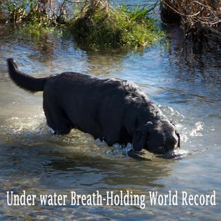World Record