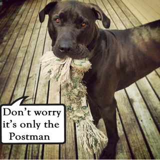 It's only the postman
