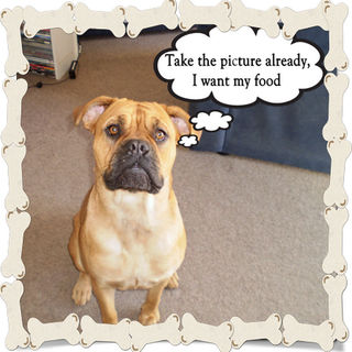 Picture Perfect