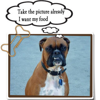 I want my food