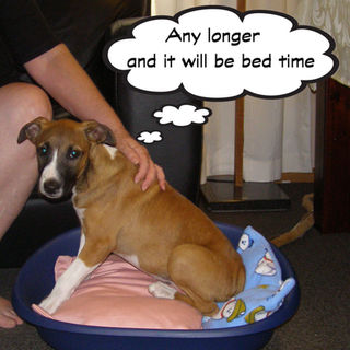 Don't take too long