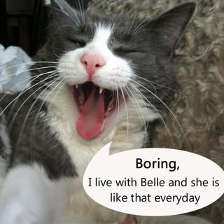 Boring