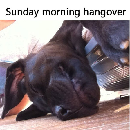 Sunday morning hangover